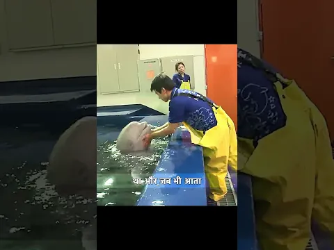 Cute whale reaction #whale #cutevideo #flyingrider