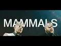 Mathame & Lyke - Discovery Channel (Lyric)