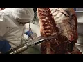 Download Lagu Meat Processing and Slaughtering Tools | IFFA 2022