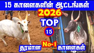 top 15 quality bulls top performances top jallikattu kalai tamizhan trending