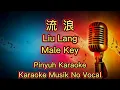 Download Lagu Liu Lang - 流浪 - Karaoke - Musik No Vocal