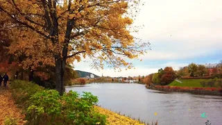 پاییزی زەردی جانان ساردی کردە 