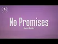 Download Lagu Shawn Mendes - No Promises (Lyrics)