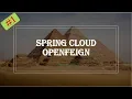 What is Spring Cloud OpenFeign Calling REST API with OpenFeign Declarative REST client