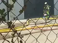 Breaking News Arsonist set a fire at Caliber Collision