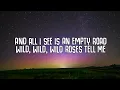 Alan Walker - World We Used to Know (Lyrics) ft. Winona Oak