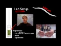 AP Biology Lab 5 Cellular Respiration