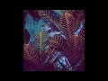 il:lo - Biome (Nuage Remix)