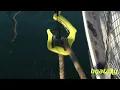 Boatasy GHOOK Mooring Solution