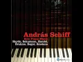 Symphonic Etudes, Op. 13: Variation II