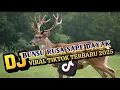Download Lagu 🎧 DJ BUNSU RUSA X SAPE DAYAK VIRAL TIKTOK TERBARU 2025
