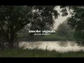 smoke signals - phoebe bridgers (1 hour)