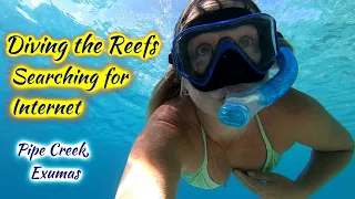 SDA103 Diving the Reefs, Searching for Internet. Pipe Creek, Exumas