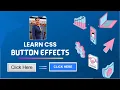 Button Hover and Transition effects Beginners Guidance