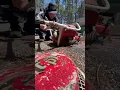 Download Lagu Only known one running.Extremely rare mall 5mg 2 man chainsaw.#chainsaw #logging #rare