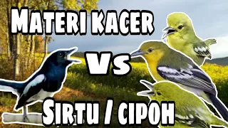 Download MATERI KACER Vs Sirtu / cipoh MP3