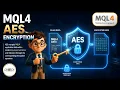 MQL4 AES Encryption Modern Data Protection