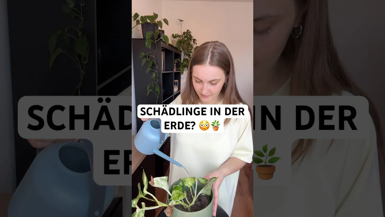 🪴 Trauermücken loswerden: Nematoden richtig anwenden & Schädlinge im Boden bekämpfen!