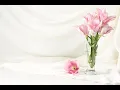 Funeral Service - Marcy Myers