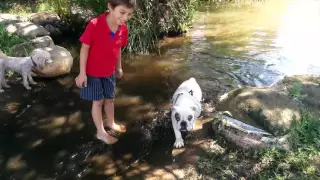 Joe and Bella