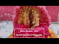 Download Lagu Maha Navami - 2022 - Chandi Homam at Thejovathy