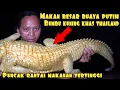 Download Lagu DEDE INOEN HABISKAN BUAYA GULING BUMBU KUNING KHAS THAILAND