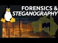 Audio Spectrogram StegCracker Passwords - DownUnderCTF