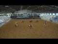 Lee County Drill Team 2023 State 4H Horse Show
