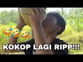 Lagu JALAN-JALAN SAMBIL NDEGAN                      🗣: ndegan lagi??? gakada konten lahin kah???