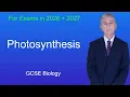 GCSE Biology Revision Photosynthesis