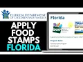 How to Apply for Food Stamps in Florida 2025 SIMPLE GUIDE