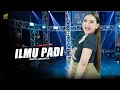 Download Lagu SHINTA ARSINTA - ILMU PADI | Feat. OM SERA (Official Music Video)