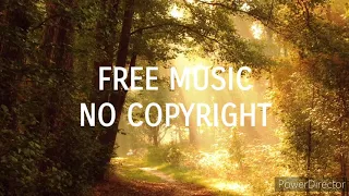 sunshine day mixaund free music no copyright