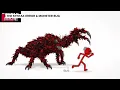 animation vs coding
