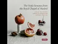 Viola Sonata (1781) in G Major: I. Variaciones. Andantino
