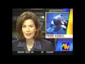 NorthWest Cable News WA OR ID   LIVE  Keiko the Orca Swims Free in Iceland