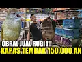 Download Lagu GA RUGI TA ! MAS DIDI BIKIN PARAMUKA KETAR KETIR !!! KAPAS TEMBAK DIBANDROL 150.000 AN HARI INI