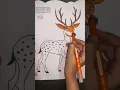 Colored Deer