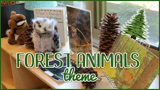 Setting Up the Classroom for the Forest Animals Theme