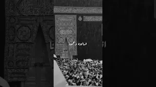 انسانيون ويحملنا دندنها