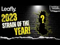 Leafly 2023 Cannabis Strain of the Year Announcement