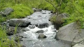terapi suara air sungai mengalir dan jangkrik terapi alam