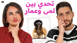 عمار البواب داخل بثقة  بس قد ه بالتخمين    دندنها