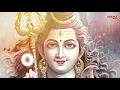 Lagu Vande Shambum | Lord Shiva shloka | Sreenivasan Mahadevan