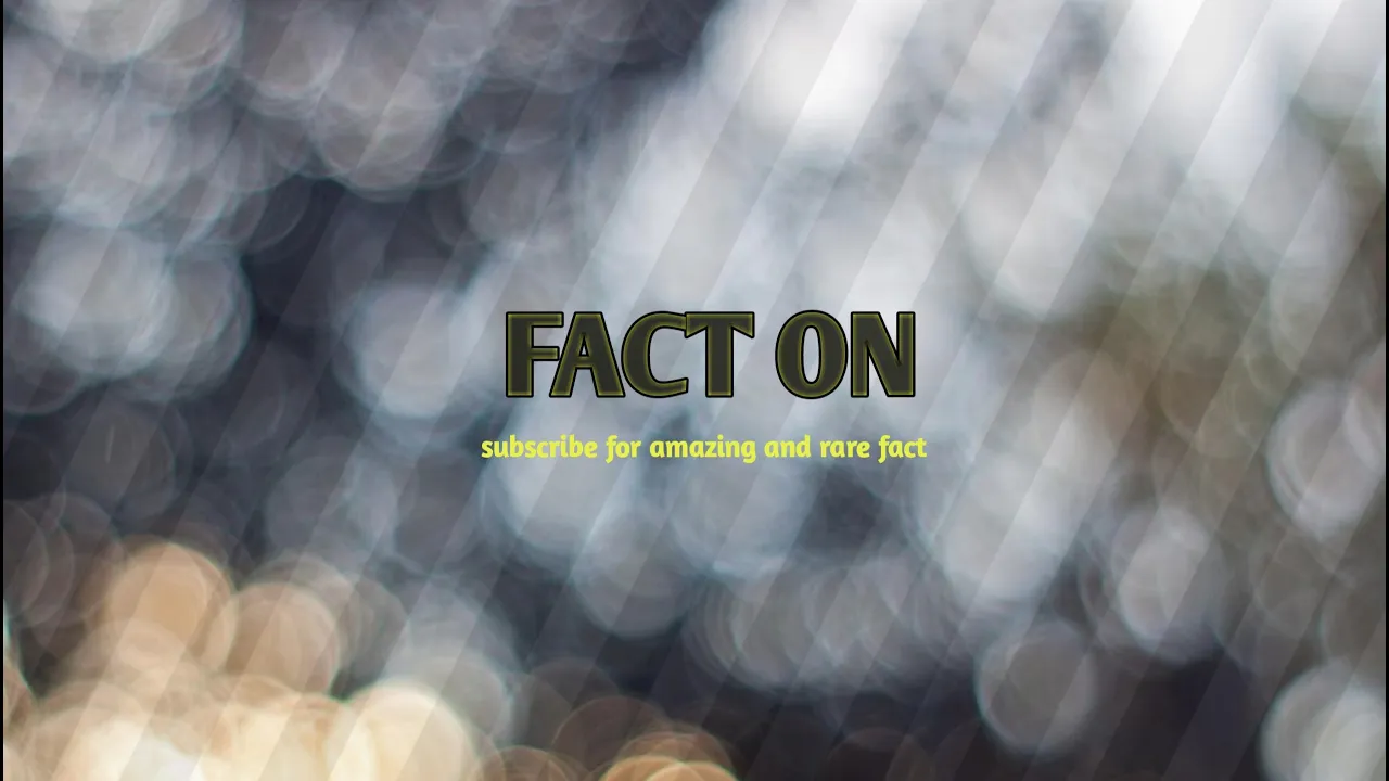 FACT ON Live Stream