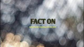 FACT ON Live Stream