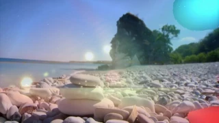 bae sonde bae tanah timor lebe bae simon tokan