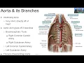 BIO2520 Lab 3 6 11 24 Part 2