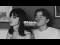 Download Lagu Dildara (slowed+reverb)