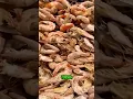 Download Lagu Rahasia Udang Kering Buatan Tangan dan Disempurnakan dengan Mesin